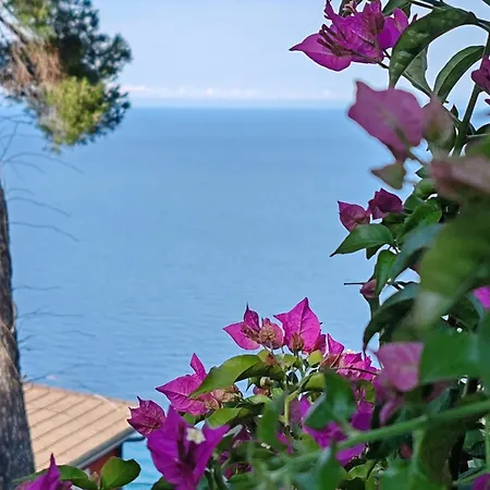 Vista Mare 公寓 *