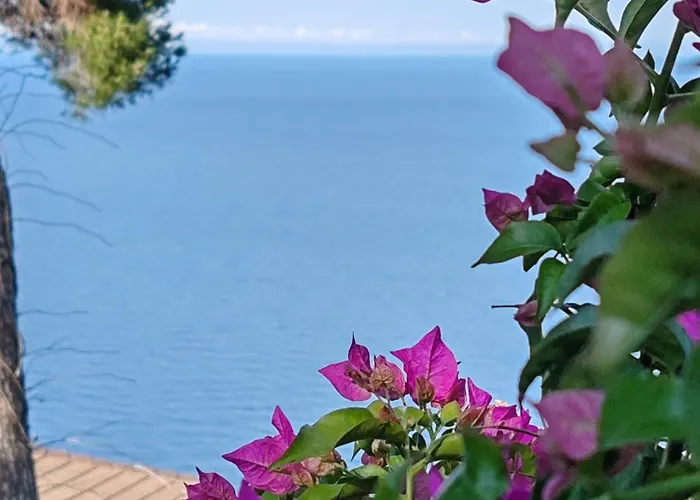 Vista Mare Lejlighed *